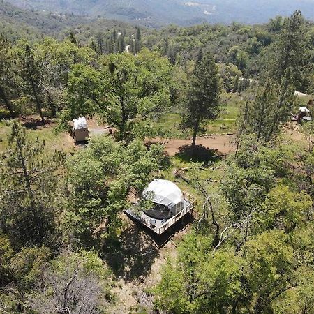 Enchanted Forest Dome ,10-15 Minutes To Kings Canyons-New Pellet Stove For Cozy Warm Nights Dunlap Экстерьер фото