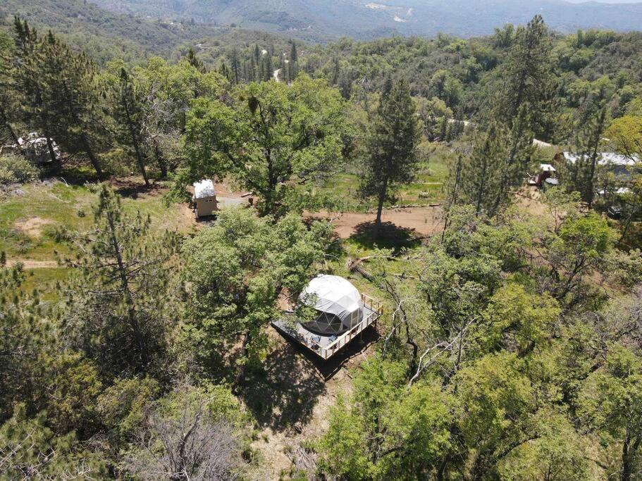 Enchanted Forest Dome ,10-15 Minutes To Kings Canyons-New Pellet Stove For Cozy Warm Nights Dunlap Экстерьер фото